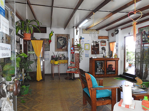 Recepción y sala de estar decorada con plantas y artesanías