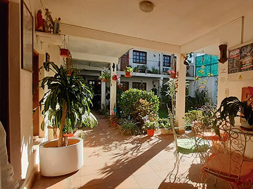 Galería y patio con plantas de la Hostería Champagne en Ituzaingó